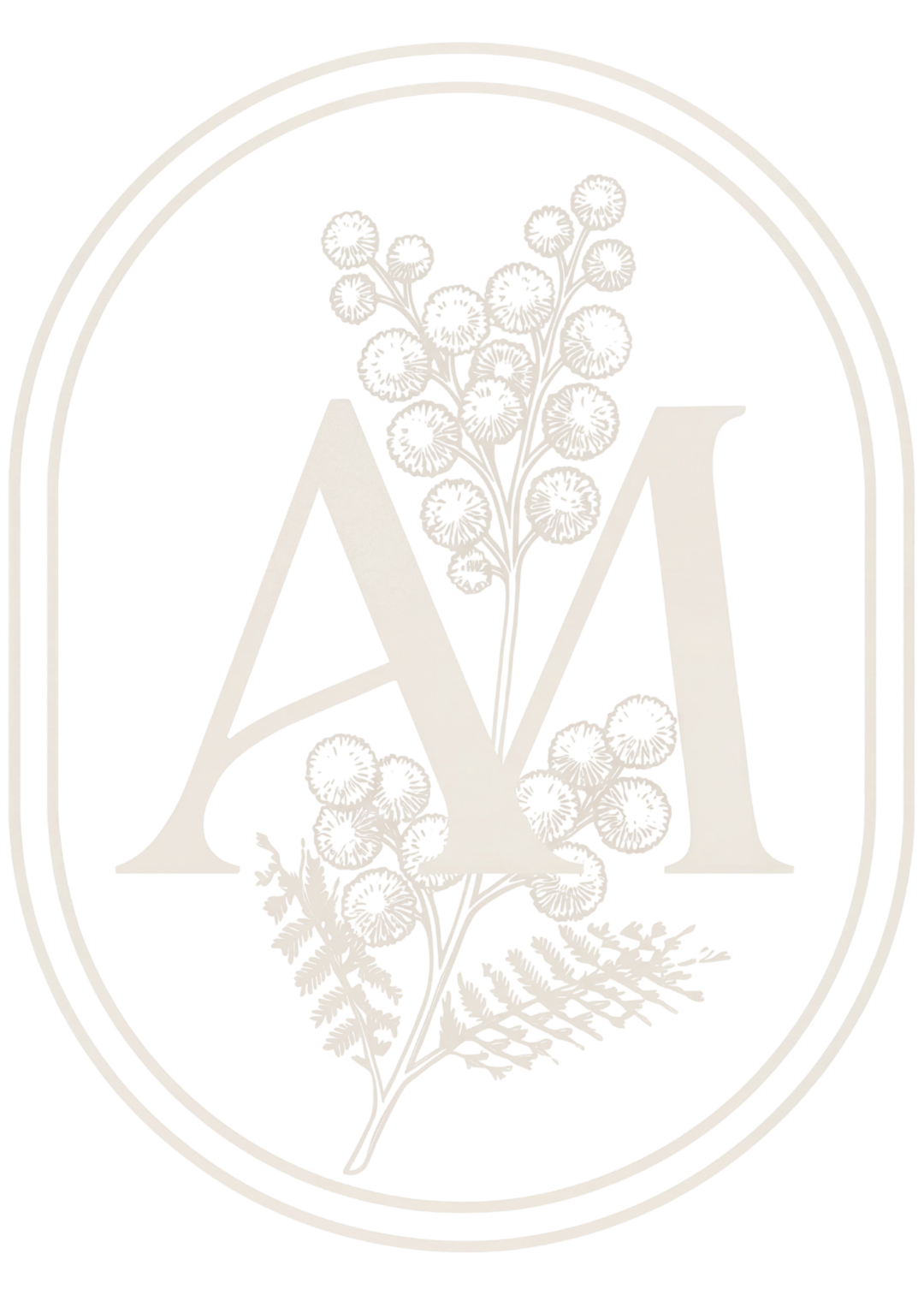 Logo Newsletter Au Mimosa